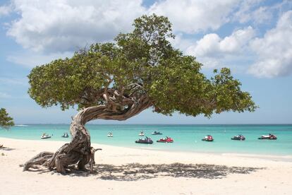 Una playa de Aruba.