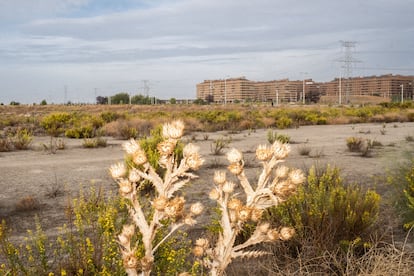 
Edificios residenciales de Seseña construidos por Paco el Pocero que ahora están llenos de nuevos vecinos. 
