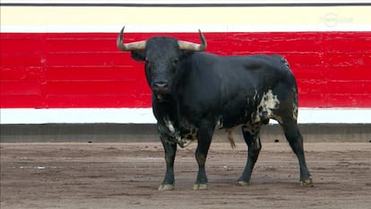 Un toro de Dolores Aguirre, lidiado en las Corridas Generales de 2022.