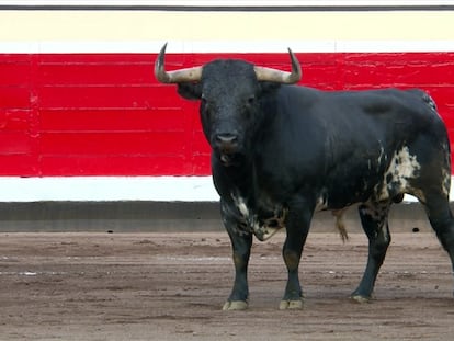 Un toro de Dolores Aguirre, lidiado en las Corridas Generales de 2022.