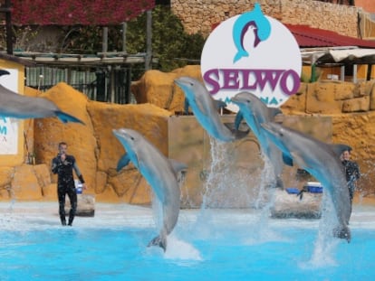 Selwo Aventura, una de las instalaciones de ocio de Parques Reunidos en Estepona (M&aacute;laga).