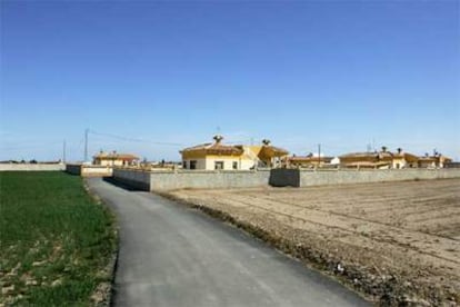 Viviendas ilegales construidas en Catral, cercanas al parque natural de El Hondo.