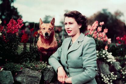 La Reina Isabel II con uno de sus perros en 1952.