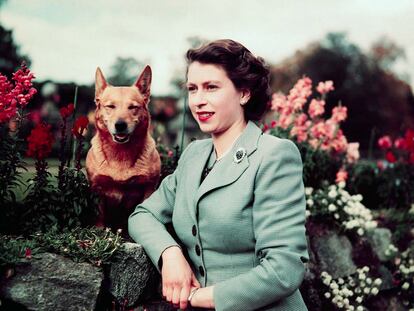La Reina Isabel II con uno de sus perros en 1952.