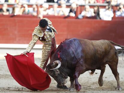 Joaquín Galdós, en una reciente actuación en Las Ventas.