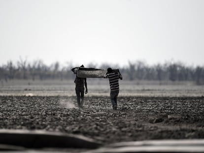 Pescadores cargan un bote por el lodo del lago Ngami, afectado por la sequía, en Maun (Botsuana), el 29 de agosto de 2019.