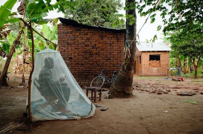 En Ifakara (Tanzania), un grupo de investigadores intenta descubrir las causas de esta resistencia con la colaboración de los habitantes del valle, que, a cambio de una pequeña retribución, buscan sitios donde haya más insectos de lo normal o hacen de señuelos humanos sentándose durante horas bajo una mosquitera a la que se han fijado varias trampas. 