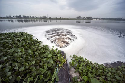 Este es uno de los puntos en los que las depuradoras vierten el agua del río Daleshwar. Son gigantescas tuberías que discurren semienterradas de forma perpendicular a la orilla del río. Es fácil dar con sus bocas. Solo hay que buscar el punto en el que el caudal cambia de color.