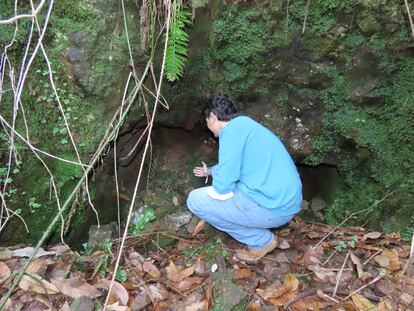 El investigador Jairo Robla, en la Finlandesa, la gruta de Oviedo en la que descubrió la población de musgo luminoso con la que inició su estudio.