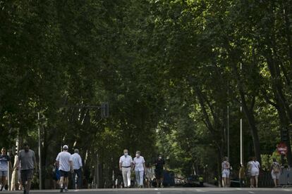 El Ayuntamiento de Madrid, en colaboración con la Comunidad de Madrid y con el apoyo del Ministerio de Cultura, ha impulsado la candidatura de Madrid para formar parte de la lista de la Unesco, que incluye el paseo del Prado y el parque del Retiro, con su correspondiente entorno. En la imagen, varias personas recorren el paseo del Prado, aprovechando el corte de tráfico.