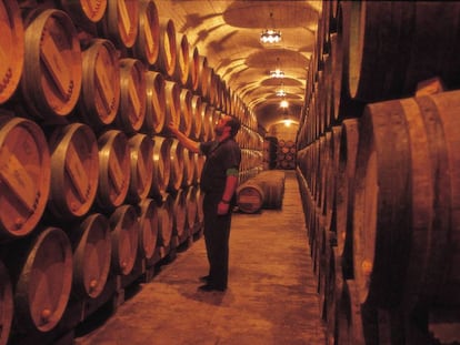 Pasillo de las bodegas Muga.