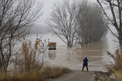 La ciudad de Zaragoza se prepara desde el fin de semana para la crecida del Ebro, cuya fase más crítica llegará esta tarde. En la imagen, el río Ebro a su paso por la localidad zaragozana de Alagón, este lunes.