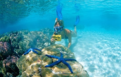 Solo unos 23.000 turistas visitan cada año las islas Salomón, un archipiélago situado al noroeste de Australia, porque, entre otras cosas, no es sencillo llegar hasta ellas. De hecho, fueron descubiertas casi por casualidad por un español, Álvaro de Mendaña, quien en el siglo XVI buscaba el reino de Ofir y las minas del Rey Salomón y se encontró con estas islas.