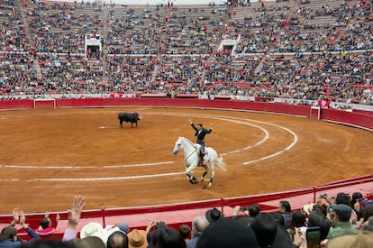 Corrida de toros en la Plaza México