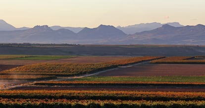 Toda la gama de colores del otoño se alinea en estos meses. En Valpierre, los viñedos se extienden hasta donde alcanza la vista.