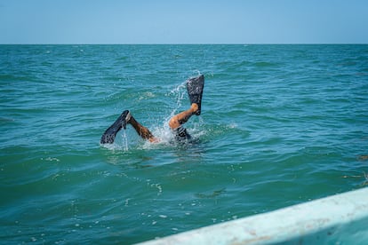 Un buzo baja a buscar todo lo que encuentre en el suelo marino a 20 km de la costa de Campeche. Bucea a pulmón durante cuatro horas seguidas.