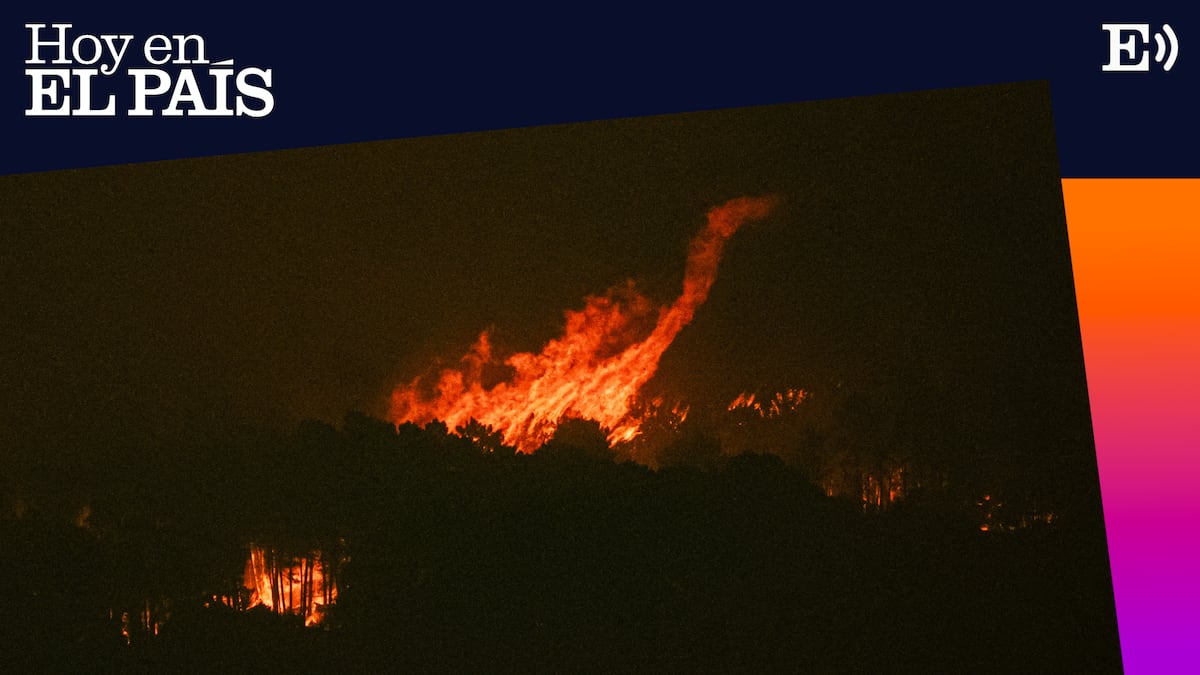 ¿Qué impide que haya un pacto de Estado sobre incendios?