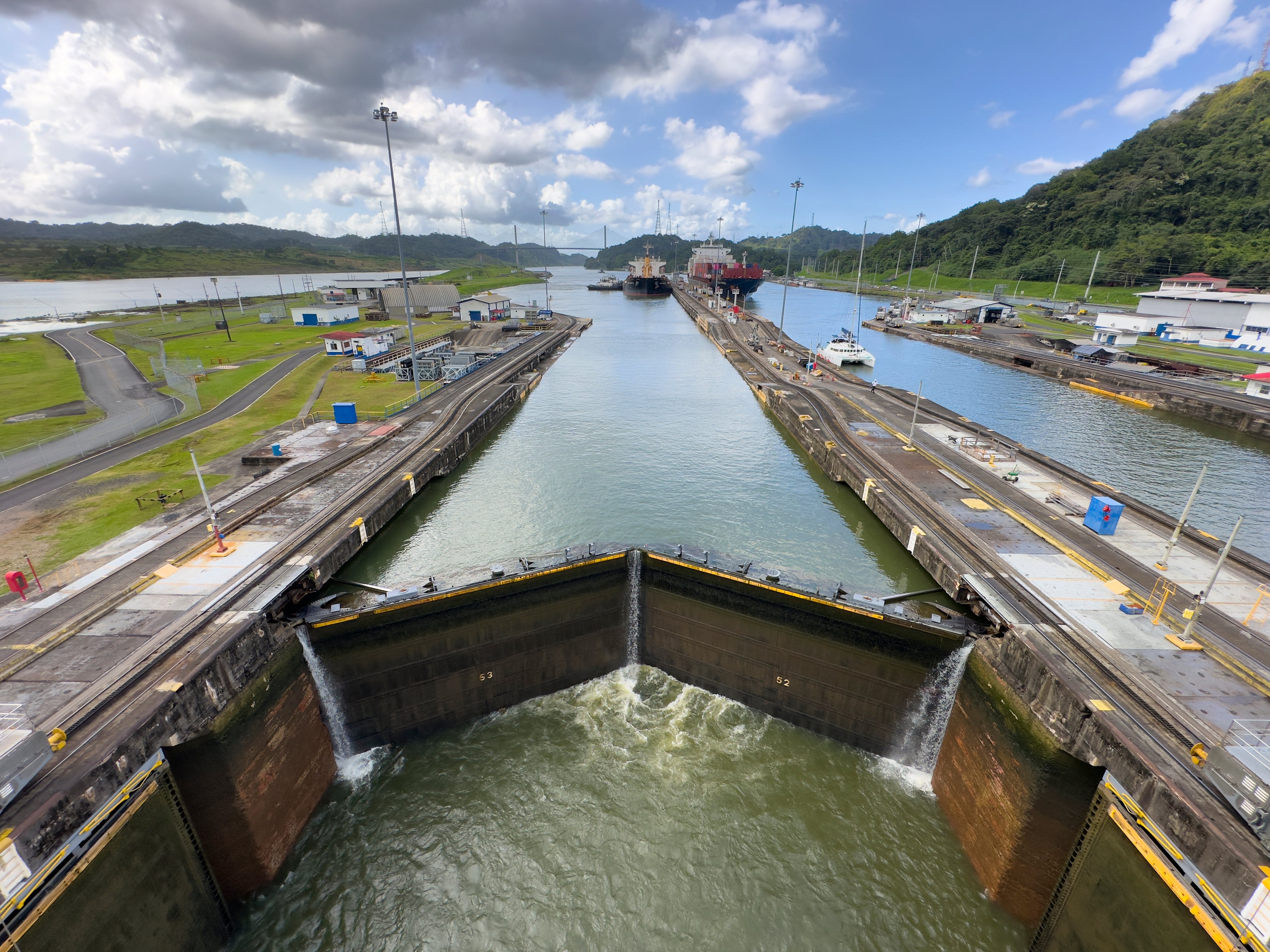 No solo barcos: la ampliación del canal de Panamá también facilita el tránsito de peces invasores