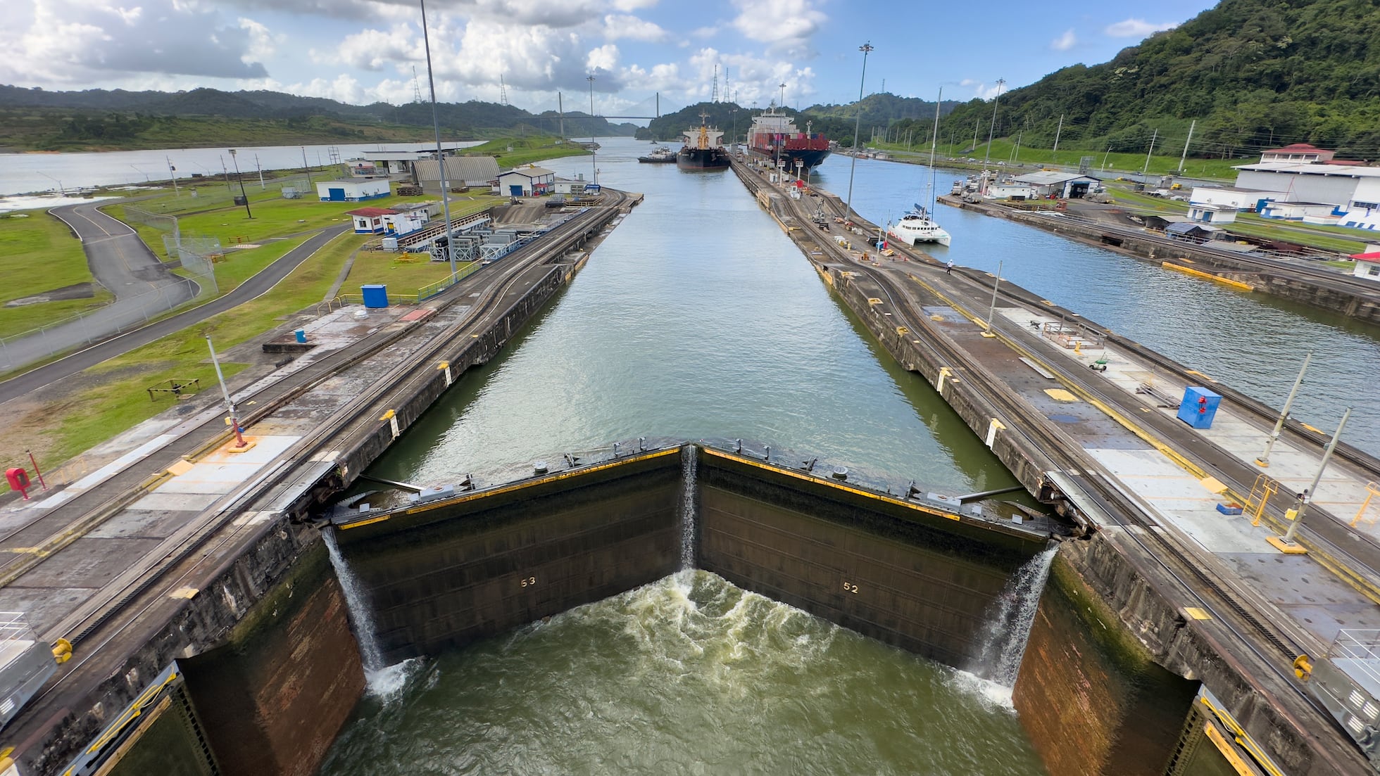 No solo barcos: la ampliación del canal de Panamá también facilita el tránsito de peces invasores | Ciencia | EL PAÍS