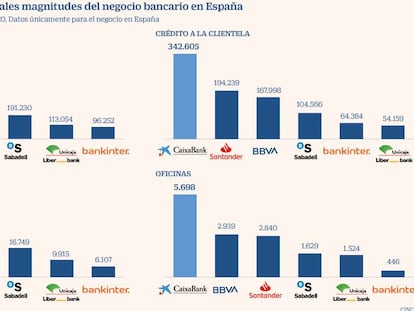 Las juntas de Unicaja y Liberbank respaldan la creación del quinto banco de España