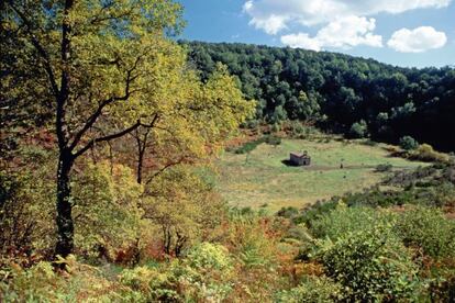 The Santa Margarida volcanic crater in Garrotxa (Girona).