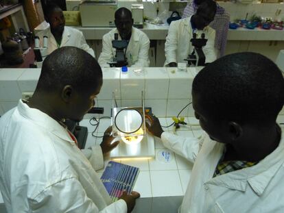 Científicos en un laboratorio del centro regional Agrhymet de lucha contra la sequía en el Sahel estudian la simbiosis de microorganismos, en Niamey.