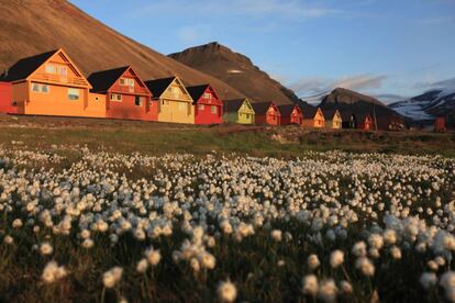 Las típicas casas de madera de colores en la localidad noruega de Longyearbyen.