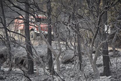 Vista general de las consecuencias del incendio en la sierra de Leyre.