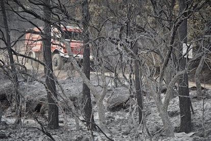 Vista general de las consecuencias del incendio en la sierra de Leyre.