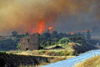 El incendio en Agramunt ha afectado más de un millar de héctareas, en su mayoría de cultivo