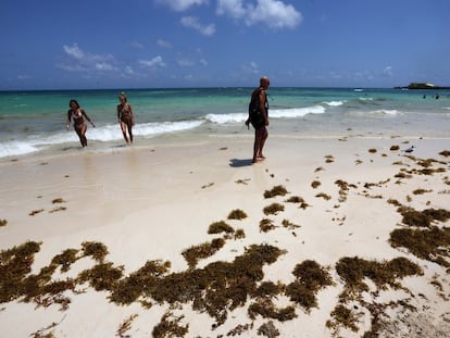 Turistas disfrutan de una playa a pesar de la invasión del alga de sargazo, en Playa del Carmen, en el Estado de Quintana Roo.