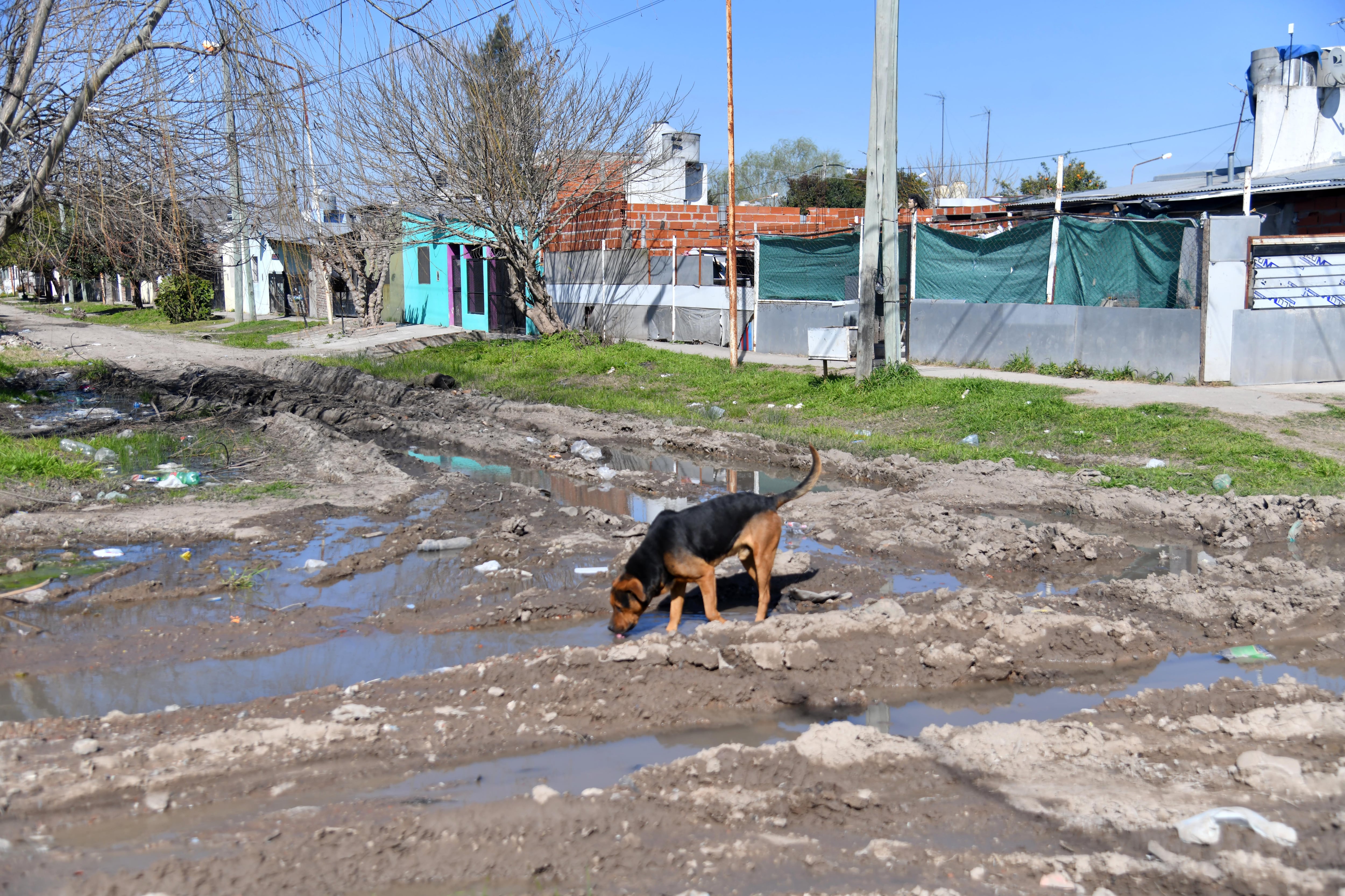 Milei enfrenta un escándalo por cubrir déficit con fondos asignados por ley a obras públicas