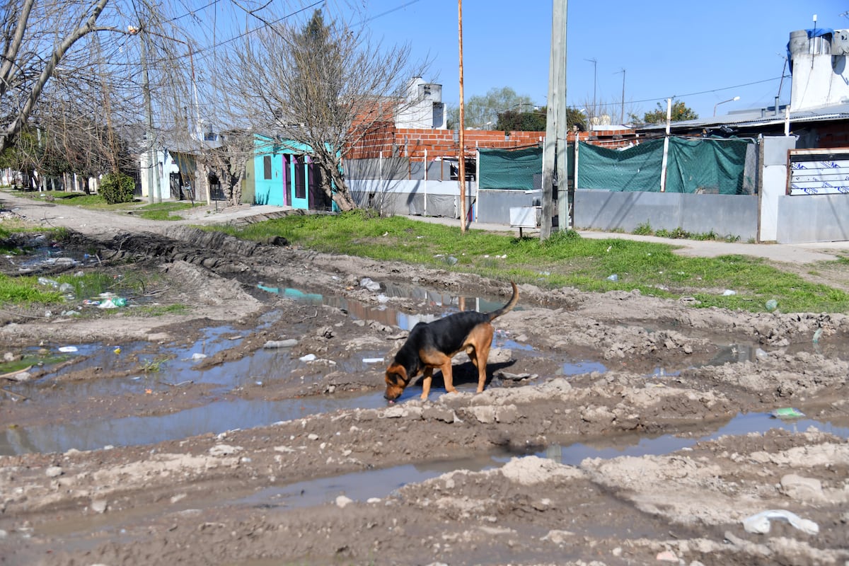 Milei enfrenta un escándalo por cubrir déficit con fondos asignados por ley a obras públicas