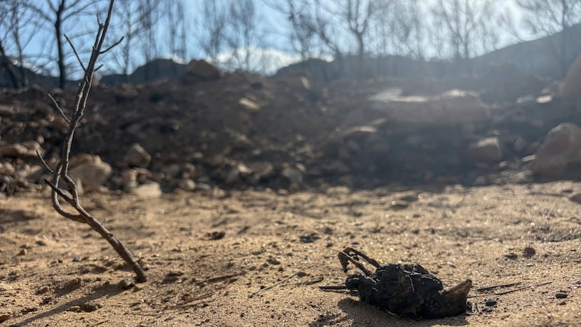 Damage caused by the fire in Bédar.