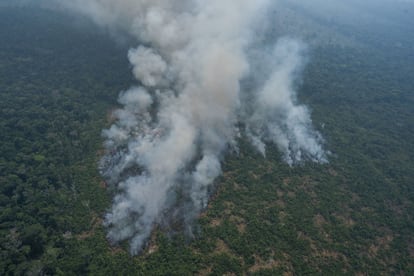 La NASA recuerda que los incendios en la cuenca amazónica son rarísimos el resto del año, pero su número aumenta a partir de julio, durante la estación seca, cuando muchas personas utilizan el fuego para mantener sus cultivos o para despejar la tierra para pastos u otros fines. Los incendios suelen alcanzar su pico en septiembre y desaparecen en noviembre. En la imagen, columnas de humo de uno de los incendios cercanos a Porto Velho (Brasil), el 23 de agosto.