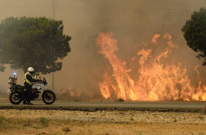 Flames near Mazagón in Huelva province in southern Spain.