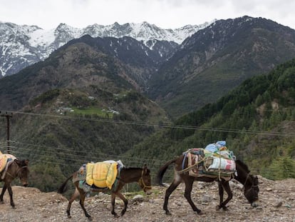 Un hombre lleva comida a la localidad india de Dharmsala, el pasado día 7, durante la cuarentena. Al fondo, los picos nevados de la cordillera de Dhauladhar del Himalaya.