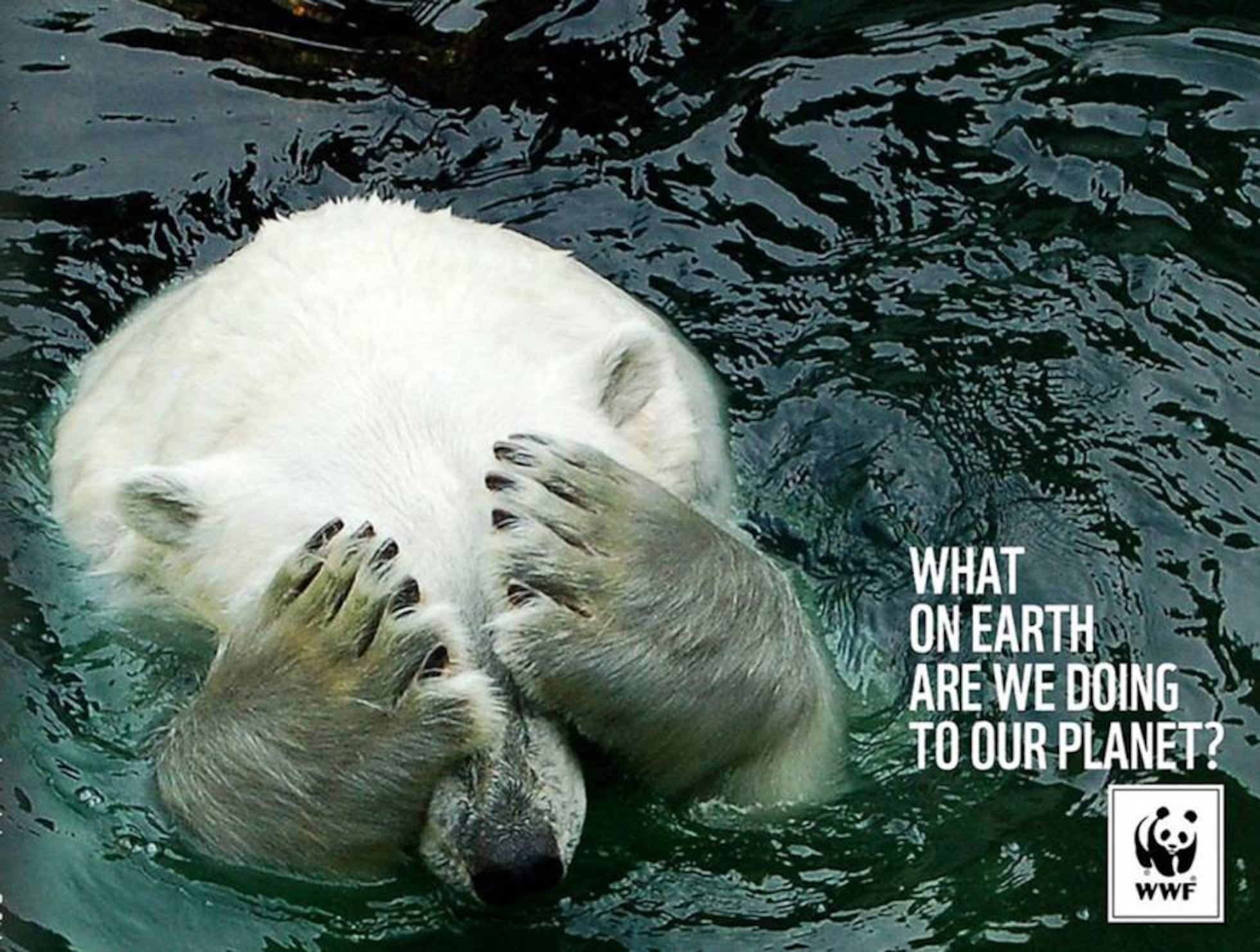 WWF