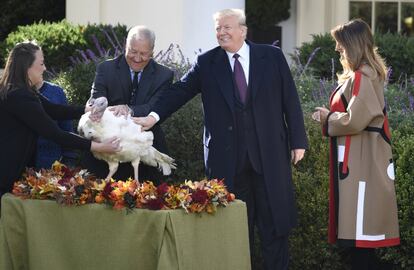 Donald Trump, Melania Trump, en el momento del indulto al pavo 'Peas',en la Casa Blanca.