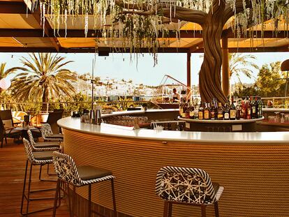 Ibiza ‘mix’: Cirque du Soleil y los hermanos Adrià se alían