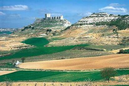 El castillo de Peñafiel, construido en los siglos X y XI, domina los campos de esta zona vitivinícola de la Ribera del Duero y alberga el Museo Provincial del Vino.