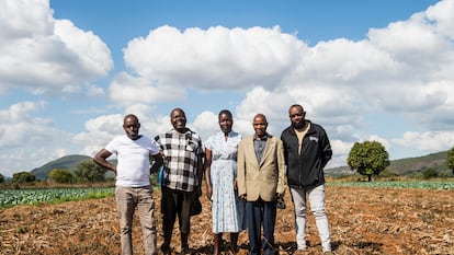 Los excultivadores de tabaco sudafricanos Ashley Tshiala, Marcus Murabi, Hudson Maselele y Divhani Neluheni, en un terreno para la producción de coles.
