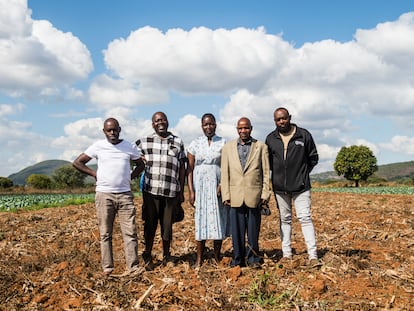 Los excultivadores de tabaco sudafricanos Ashley Tshiala, Marcus Murabi, Hudson Maselele y Divhani Neluheni, en un terreno para la producción de coles.