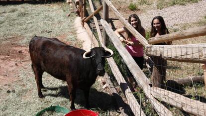 Margarita, with two admirers.