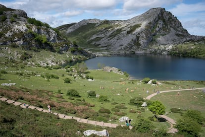 Senderistas recorriendo los alrededores del lago Enol, en los Picos de Europa.