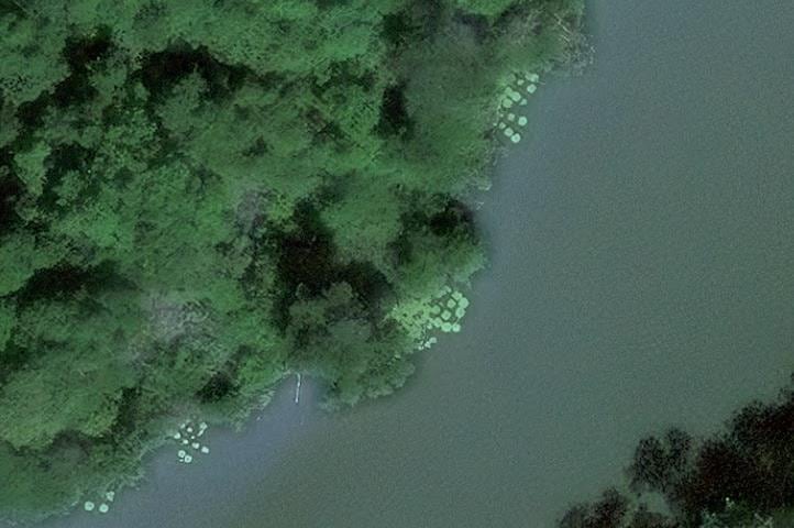 Imagen satelital que da cuenta de la Victoria colombiana en las aguas de la cuenca del Orinoco.