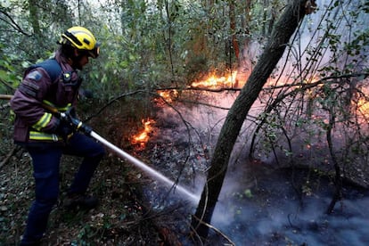 Dotaciones de bomberos trabajan desde la pasada madrugada en la extinción de tres incendios en Bizkaia.