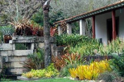 El Sítio Burle Marx, lleno de especies de plantas autóctonas.