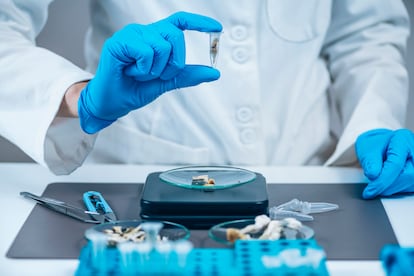 A researcher holds a microdose of psilocybin.