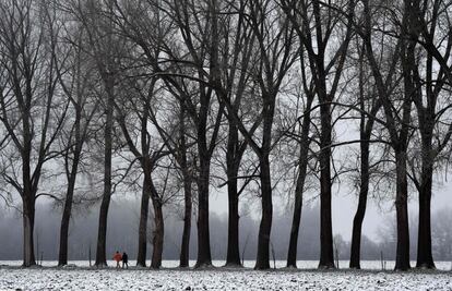 Un paseo peatonal cubierto de árboles, nevado, en el pueblo bávaro de  Groebenzell (Alemania). 